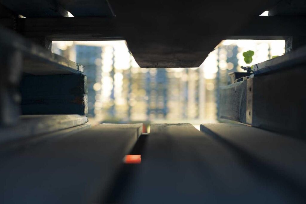 Winter SUP in Seattle: Drysuits, Water Temps and Why Some People Still Go