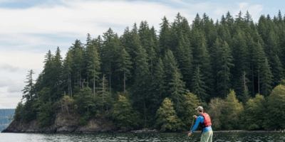 paddleboard Seward Park old growth forest bald eagle Lake Washington