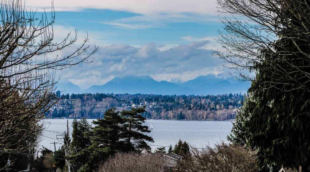 paddleboard Kirkland Marina Park Lake Washington east shore Seattle view