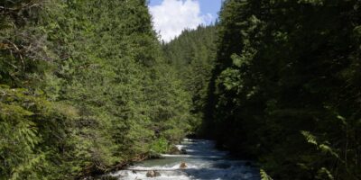 paddleboard Snoqualmie River Washington moving water forested banks