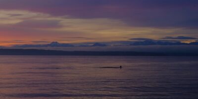 paddleboard Golden Gardens Seattle sunset Olympic Mountains Puget Sound