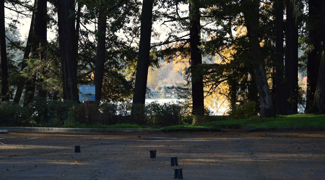 stand up paddleboard calm urban lake Seattle park morning