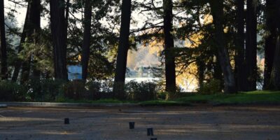 stand up paddleboard calm urban lake Seattle park morning